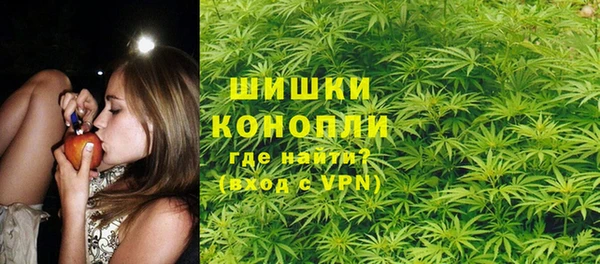 индика Аркадак