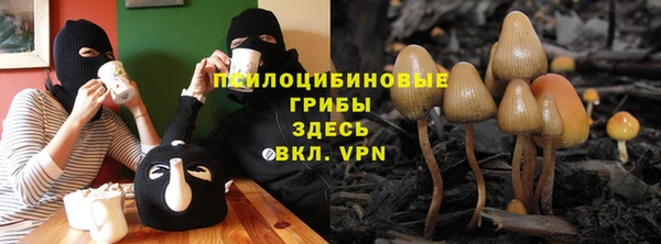 амф Алексеевка