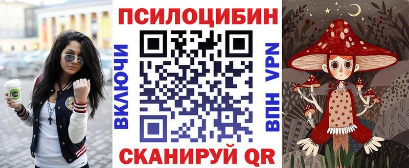 Купить где  Псков  Псилоцибиновые грибы Psilocybine cubensis 